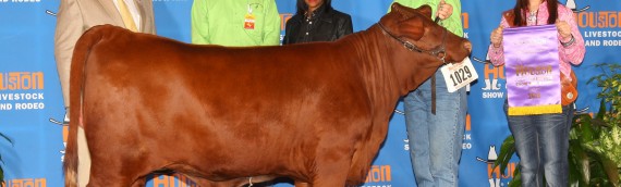 Sage 1735 Wins At Houston Livestock Show and Rodeo