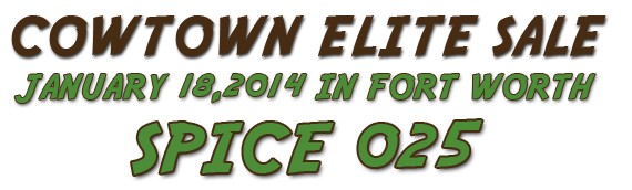 SOLD – Cowtown Elite Sale – Spice 025